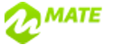 MateSlots Casino Logo